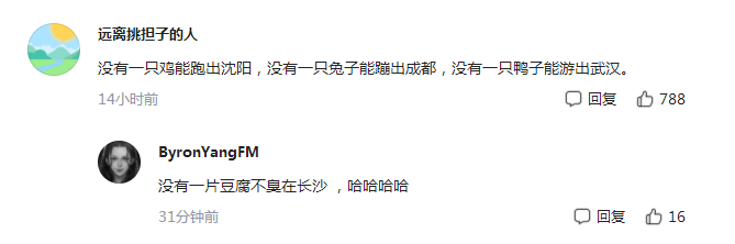 没有一只鸡能跑出沈阳，没有一只兔子能蹦出成都，没有一只鸭子能游出武汉，没有一片豆腐不臭在长沙。